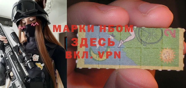 гашик Ладушкин