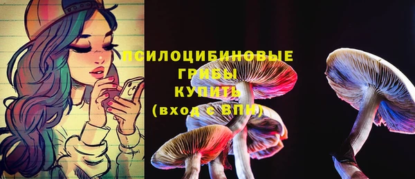 ешки Лабытнанги