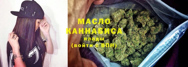 гашик Ладушкин