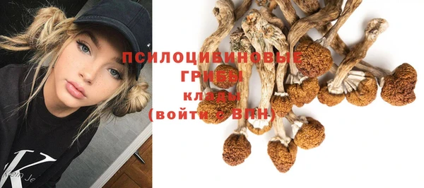 ешки Лабытнанги