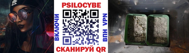 Галлюциногенные грибы мицелий Любим